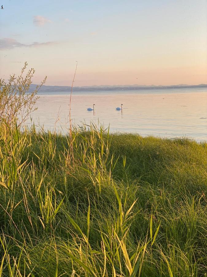 Ferien-Apartment Eisvogel Im Naturschutzgebiet Mit Privatstrand FDH المظهر الخارجي الصورة